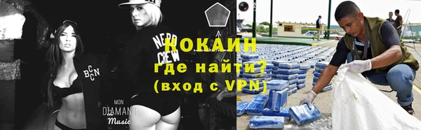 крисы Алзамай