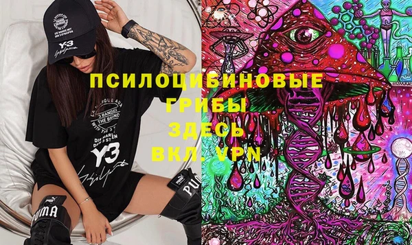 крисы Алзамай