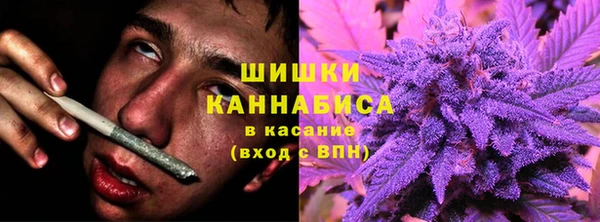 шишки Алексеевка